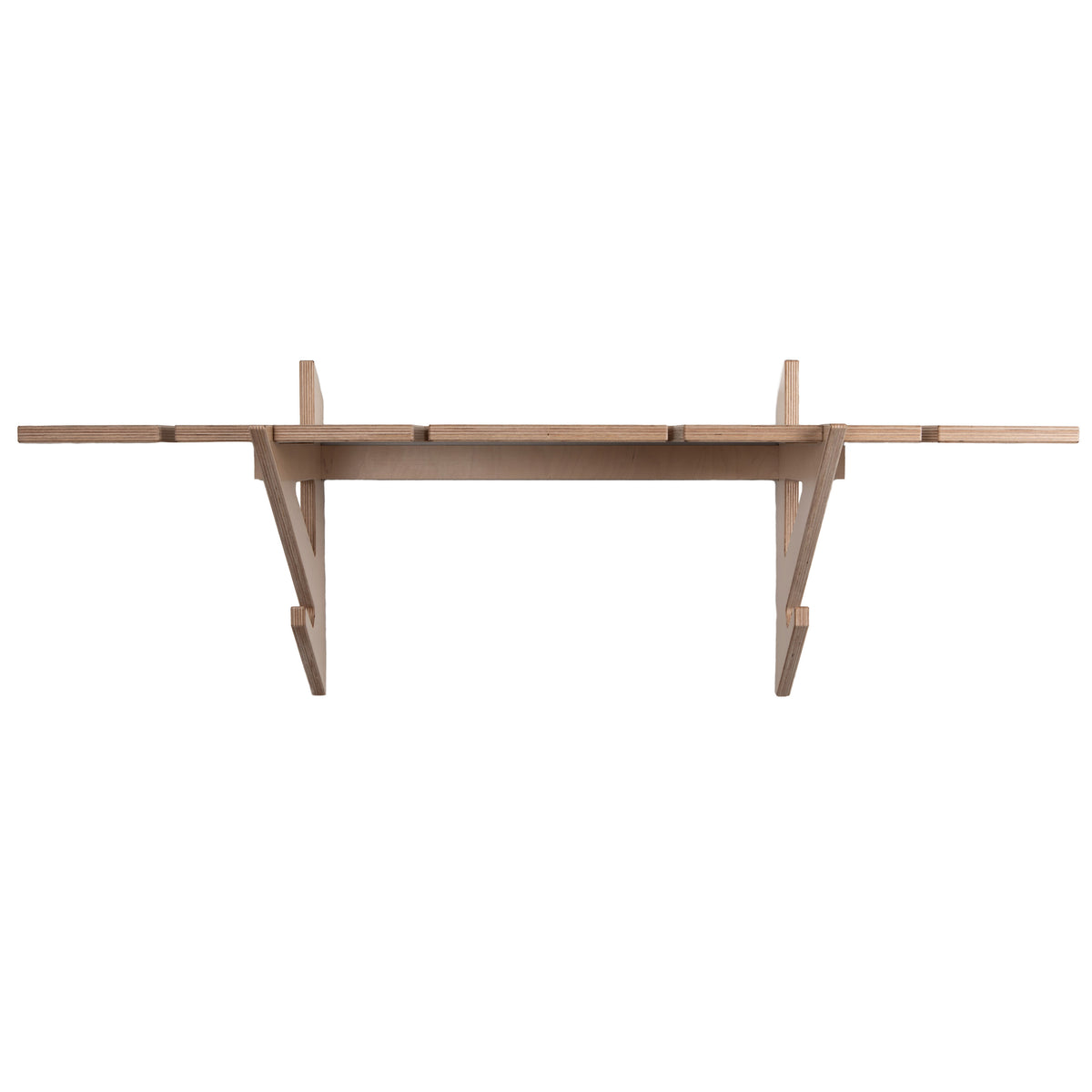 SKI RACK